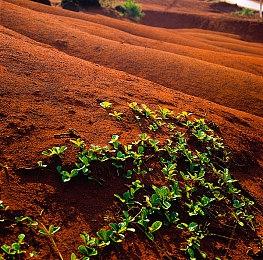官方宣布《幽灵线：东京》玩家数量超过400万